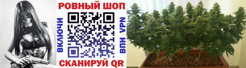 Какие есть наркотики Кимовск ГАШ Cocaine Alpha PVP Мефедрон