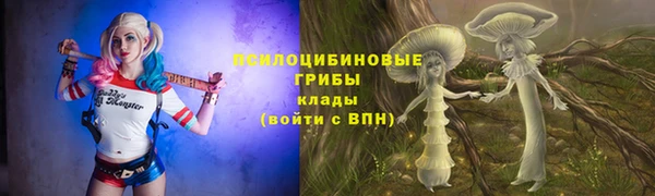 jwh Зерноград