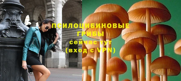 шишки Зеленодольск