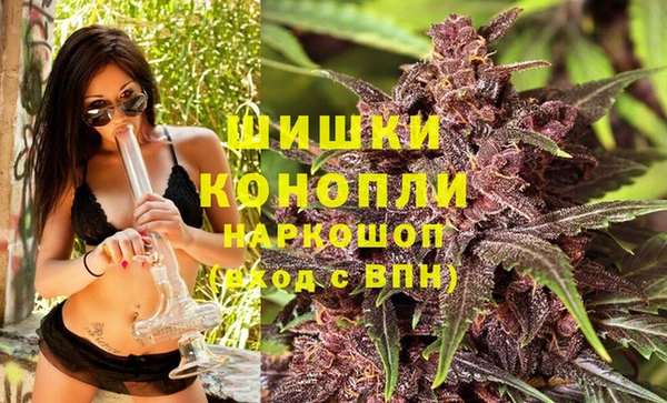 шишки Зеленодольск