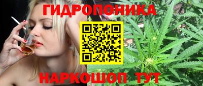 молекула духа Краснодар