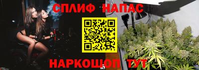 прущие крисы Краснознаменск