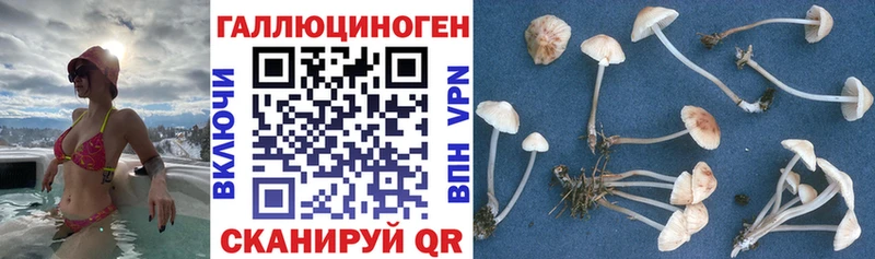 Галлюциногенные грибы ЛСД  Кимовск 